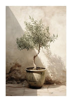 Quadro Home
